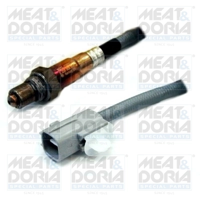 Oxygen Sensor